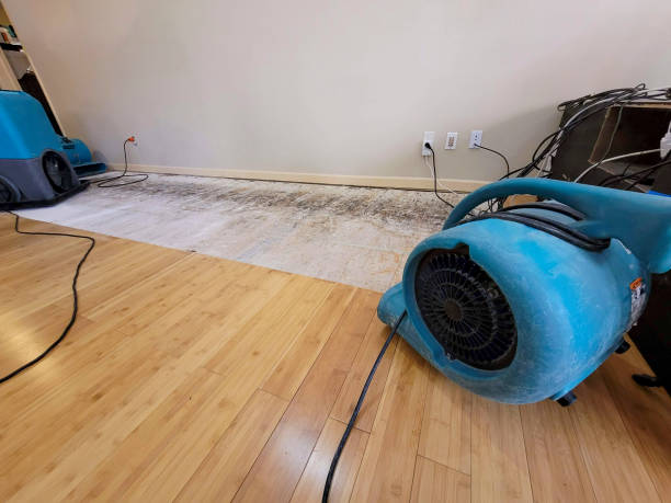 Professional Burst Pipe Water Damage technician working in Bay Saint Louis, MS